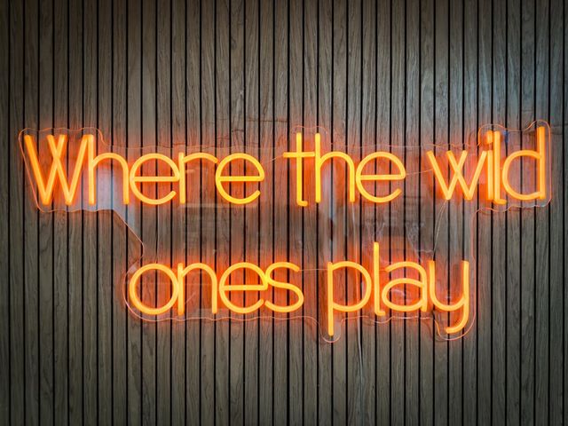 64 Windy Valley Lane, Blue Ridge, GA 30513