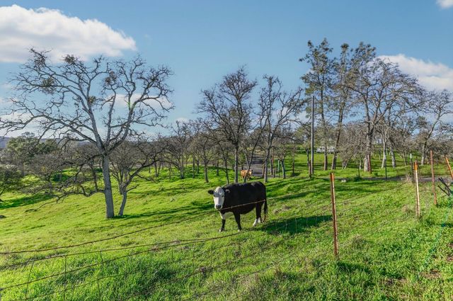 3653 Chuckwagon Dr, Copperopolis, CA 95228