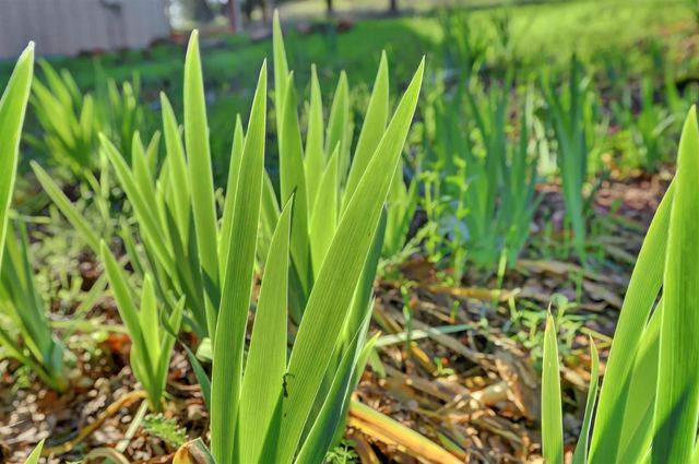 11013 Wolf Dr, Grass Valley, CA 95949