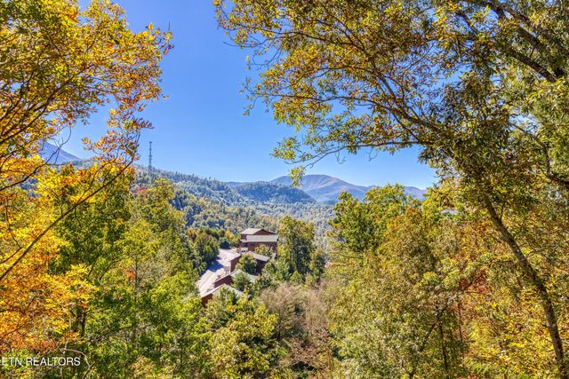 1028 Old Cartertown Road Rd, Gatlinburg, TN 37738
