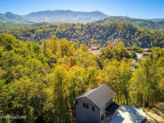 1028 Old Cartertown Road Rd, Gatlinburg, TN 37738