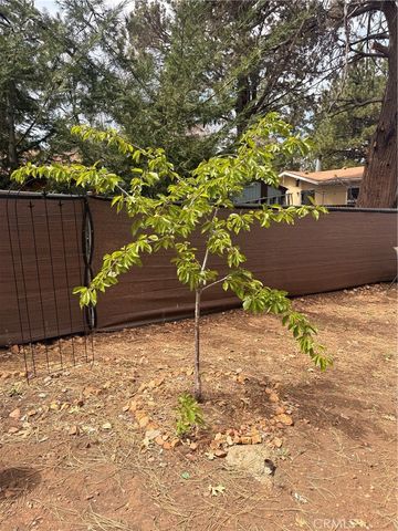 364 Leonard, Sugarloaf, CA 92386