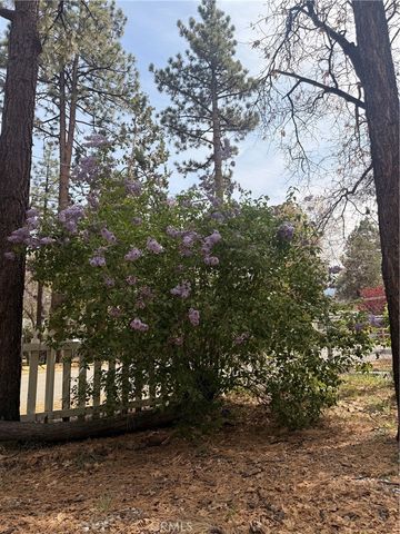 364 Leonard, Sugarloaf, CA 92386