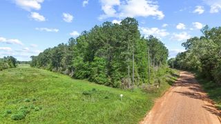 tbd Bluewater Road, Livingston, TX 77351