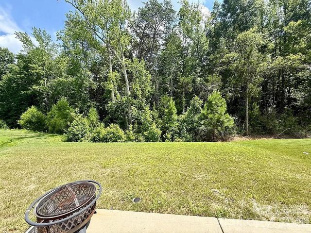 13023 Newburgh Green Drive, Charlotte, NC 28273