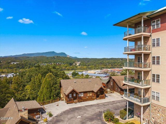 410 Big Bear Way, Pigeon Forge, TN 37863