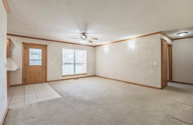 3 Limousin, Shawnee, OK 74804