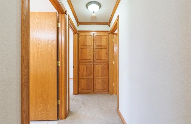 3 Limousin, Shawnee, OK 74804