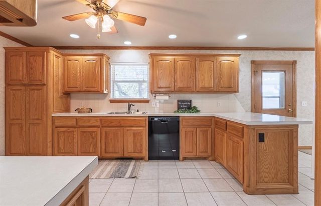 3 Limousin, Shawnee, OK 74804