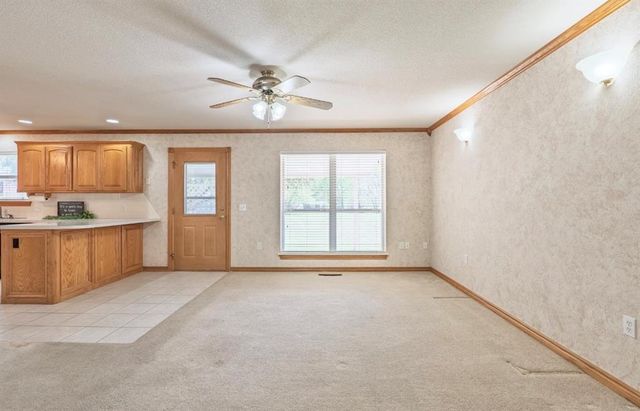 3 Limousin, Shawnee, OK 74804