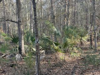 0 Cooke Road Lot 2, Johns Island, SC 29455