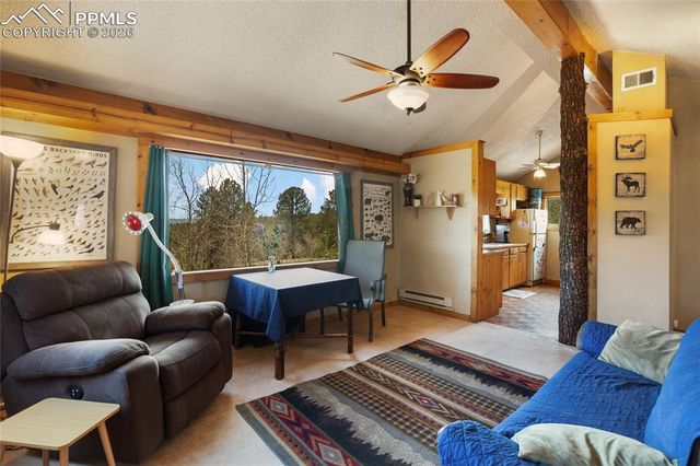 79 Beaver Creek Circle, Florissant, CO 80816
