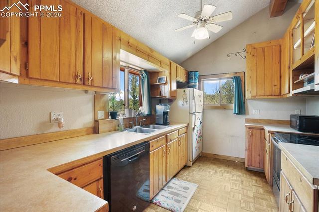 79 Beaver Creek Circle, Florissant, CO 80816