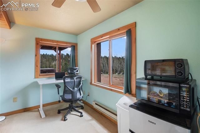 79 Beaver Creek Circle, Florissant, CO 80816