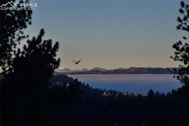 79 Beaver Creek Circle, Florissant, CO 80816