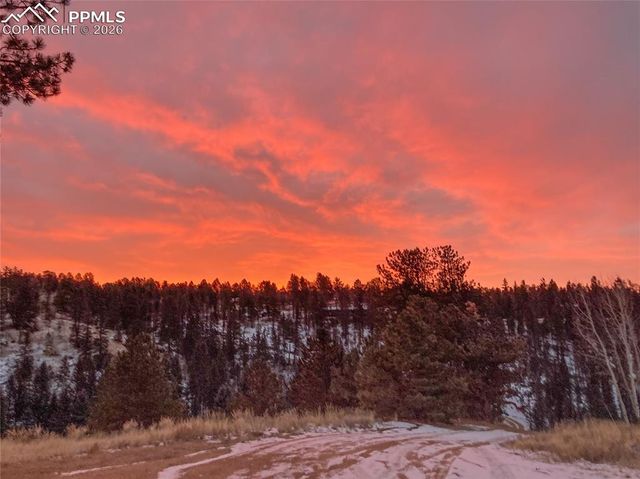 79 Beaver Creek Circle, Florissant, CO 80816