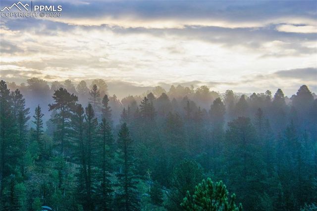 79 Beaver Creek Circle, Florissant, CO 80816