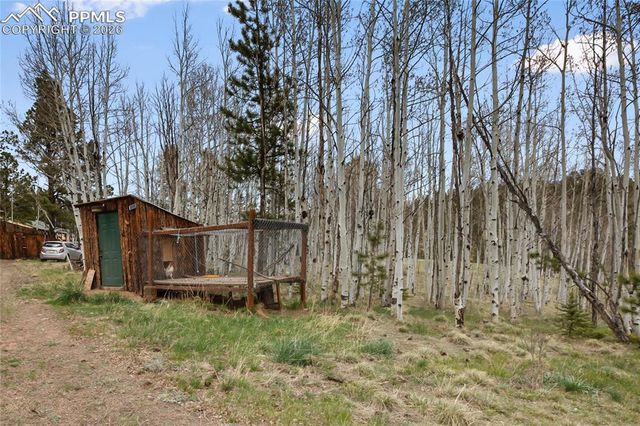 79 Beaver Creek Circle, Florissant, CO 80816