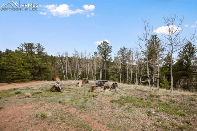 79 Beaver Creek Circle, Florissant, CO 80816