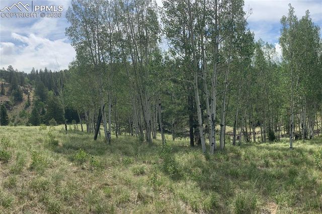 79 Beaver Creek Circle, Florissant, CO 80816