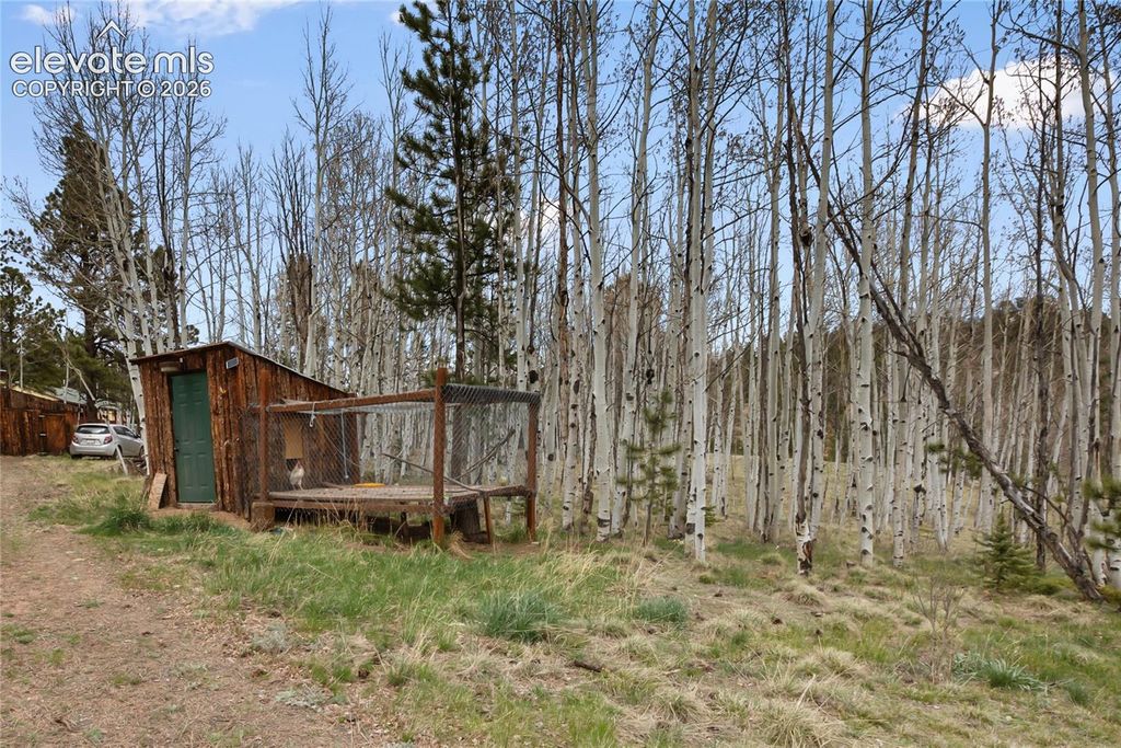 79 Beaver Creek Circle, Florissant, CO 80816 — photo 4
