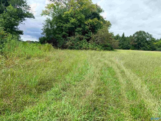 1 Yancy Lamb Drive, New Market, AL 35761