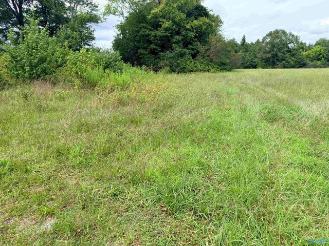 1 Yancy Lamb Drive, New Market, AL 35761