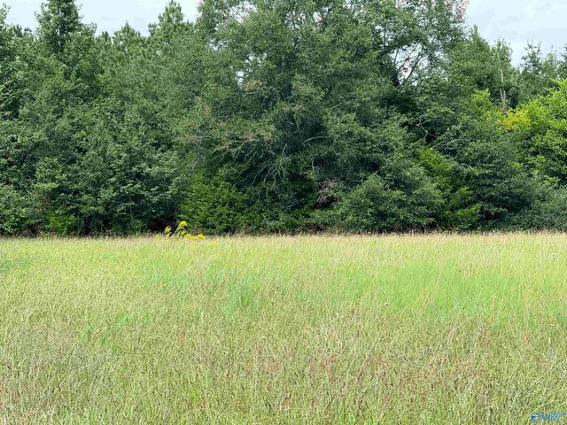 1 Yancy Lamb Drive, New Market, AL 35761