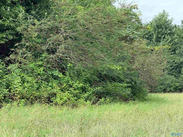 1 Yancy Lamb Drive, New Market, AL 35761