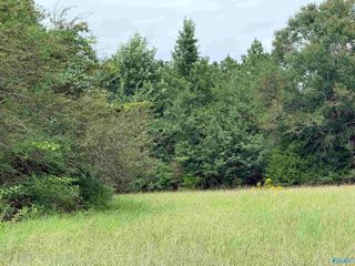 1 Yancy Lamb Drive, New Market, AL 35761