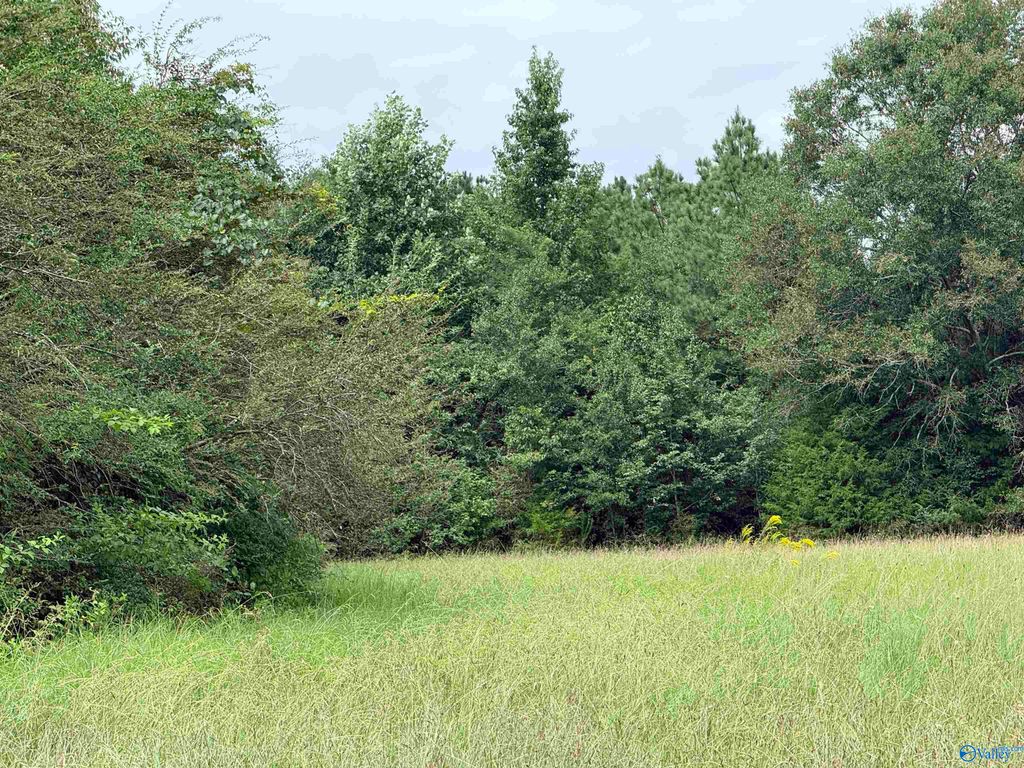 1 Yancy Lamb Drive, New Market, AL 35761