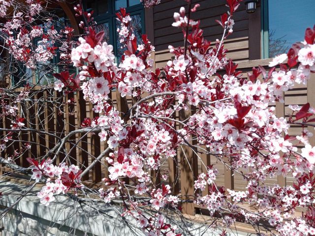 6236 Bald Eagle ROAD, Mount Pleasant, WI 53406