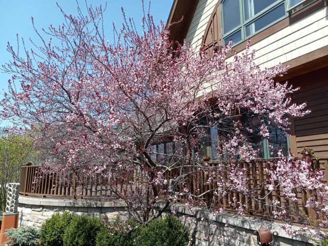 6236 Bald Eagle ROAD, Mount Pleasant, WI 53406