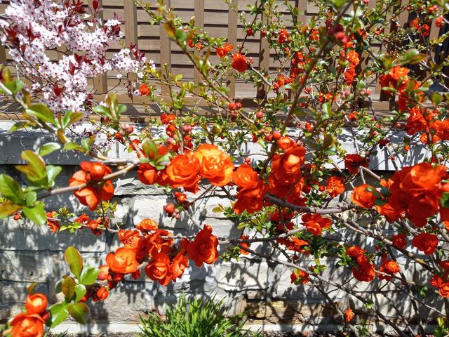 6236 Bald Eagle ROAD, Mount Pleasant, WI 53406