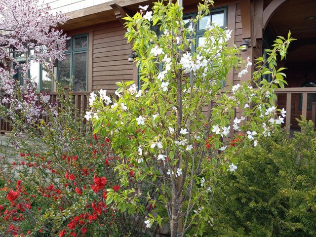 6236 Bald Eagle ROAD, Mount Pleasant, WI 53406