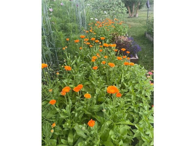 2179 132nd Street, New Richmond, WI 54017