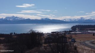 41110 Wandering Street, Homer, AK 99603