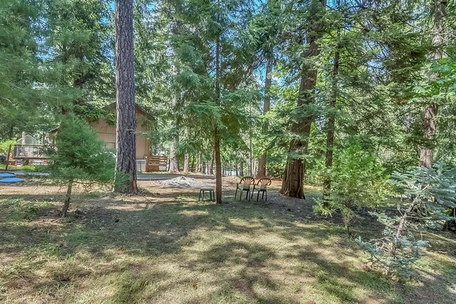 16815 Alpine Dr, Pioneer, CA 95666