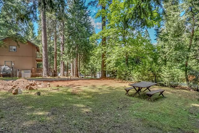 16815 Alpine Dr, Pioneer, CA 95666