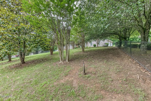 3935 Erwin Highway, Afton, TN 37616