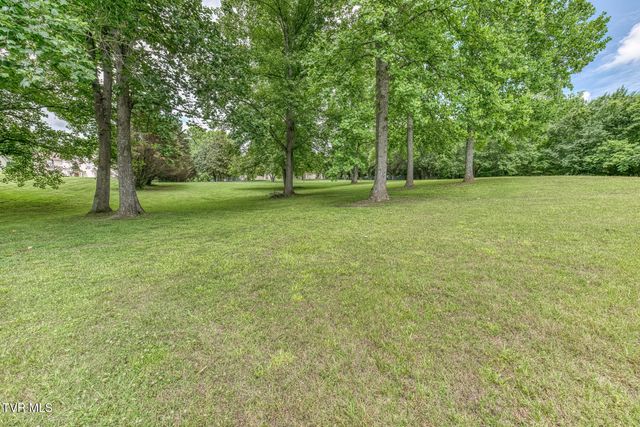 3935 Erwin Highway, Afton, TN 37616