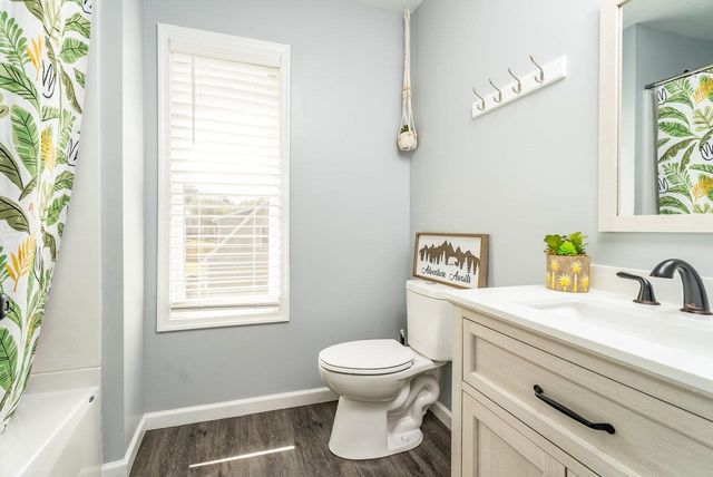435 9TH ST, Shenandoah, VA 22849