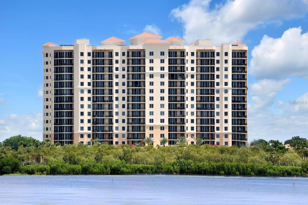 5823 BOWEN DANIEL DRIVE 901, Tampa, FL 33616