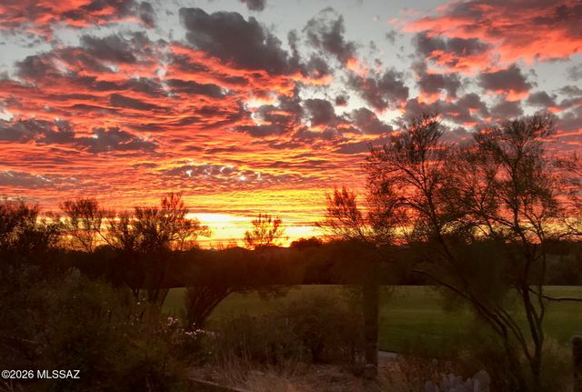 4938 W Desert Chicory Place, Marana, AZ 85658