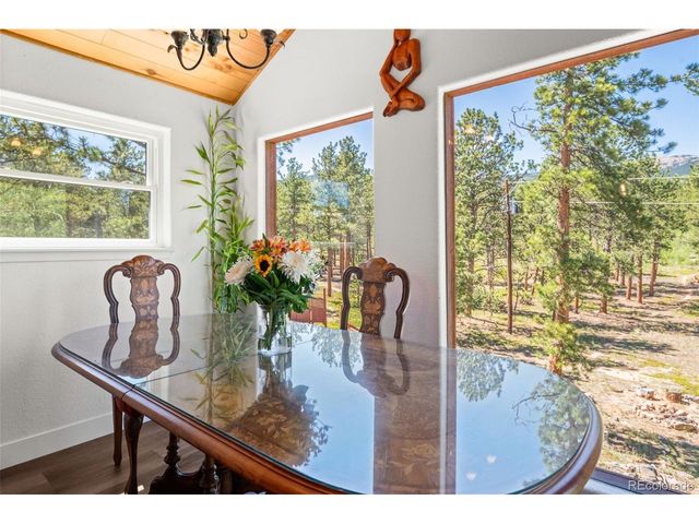 43 Crystal Rock Rd, Bailey, CO 80421