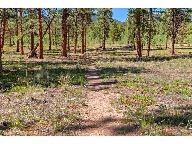 43 Crystal Rock Rd, Bailey, CO 80421