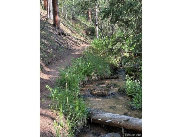 43 Crystal Rock Rd, Bailey, CO 80421