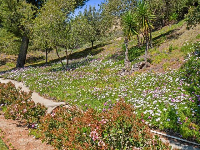 19401 Oak Crossing, Newhall, CA 91321