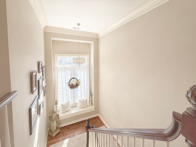 691 Reserve Court, South Elgin, IL 60177