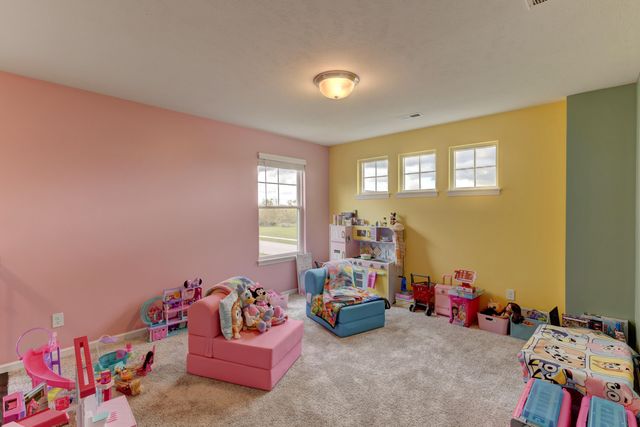 13272 Light Avenue, Dyer, IN 46311
